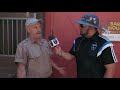 Chloe the Zebu predicts the winner of Japan vs. Colombia