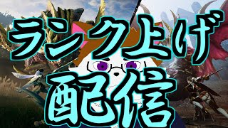 久しぶりにモンスをしばく
