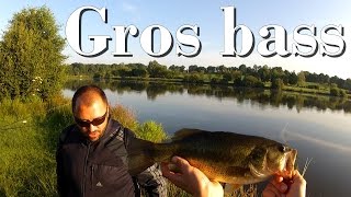 Pêche d'un gros black bass au leurre de surface - Carnassier 2014 - GoPro HD