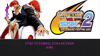 CVS2 Tutorial Collection : Iori