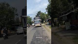 Basuri Nada Viral Stecu Stecu  basuri automobile telolet busmania teloletbasuri shorts