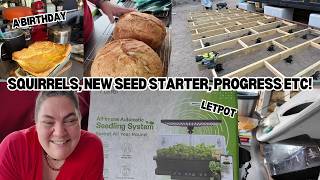 Squirrels, a badly filmed Birthday, Let Pot Seed Starter and some updates! - Off Grid Australia