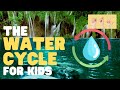 Water Cycle and Conservation Concepts