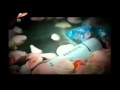 Yipak Yoli Sadasi 30 Yipak Yoli Sadasi 30