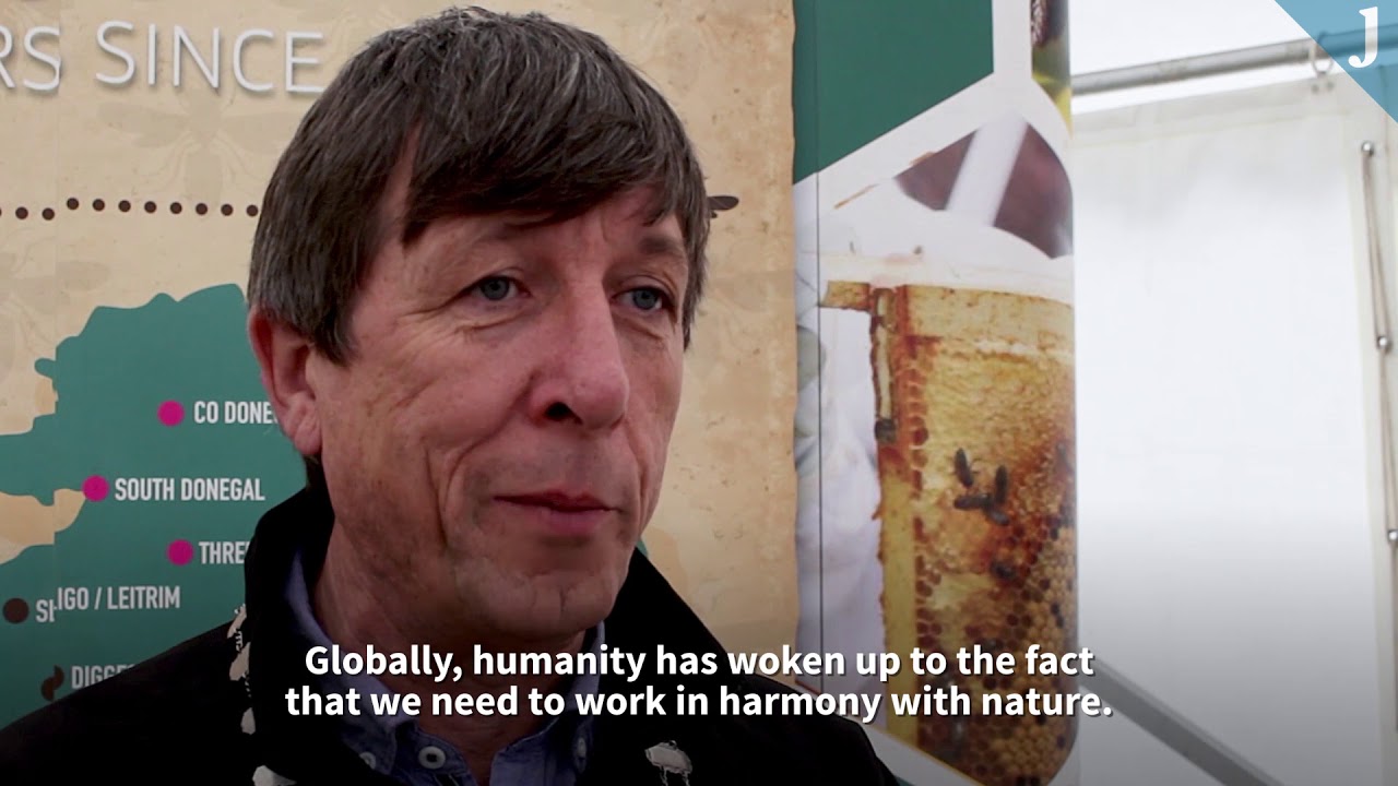 Things are looking up for bees in Ireland