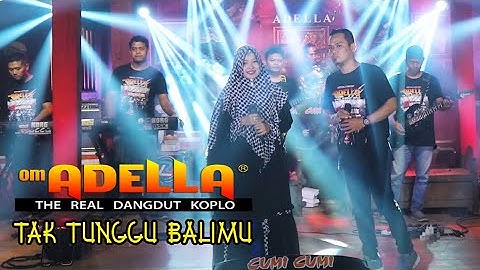 OM ADELLA - TAK TUNGGU BALIMU - Fendik Adella ft Ny Simpatik