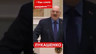 Разговор Лукашенко С Пригожиным…..