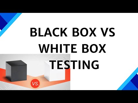 Black Box vs White Box Testing | Differences, Advantages & Disadvantages