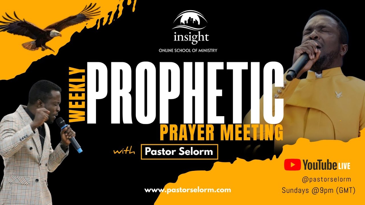 FULFILLING VISIONS AND DREAMS | MANIFEST THE PROMISE 