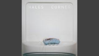 Video thumbnail of "Hales Corner - See Me Out"
