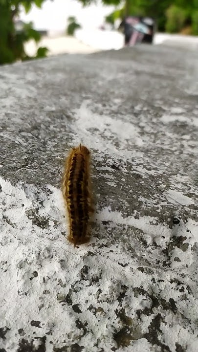 Где здесь СУПЕРМАРКЕТ! Хочу купить чего нибудь вкусненького - YouTube