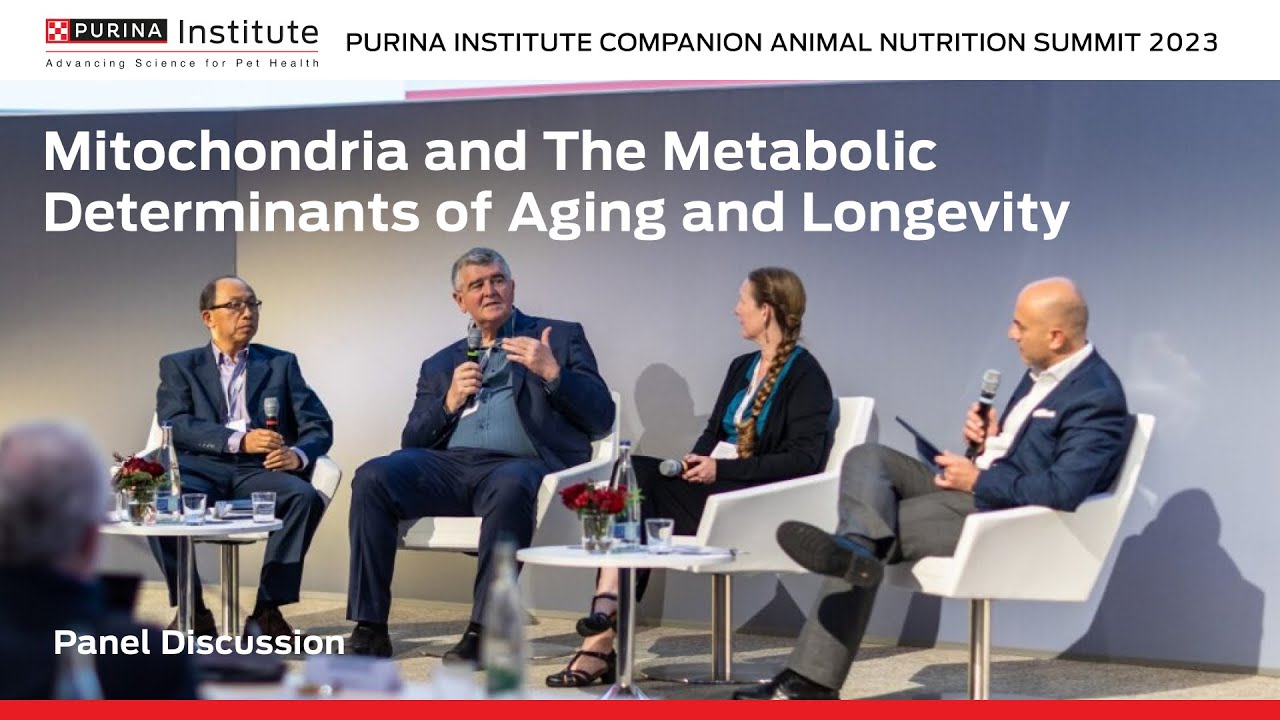 Panel Discussion: Mitochondria and the Metabolic Determinants of Aging & Longevity | 2023 CAN Summit