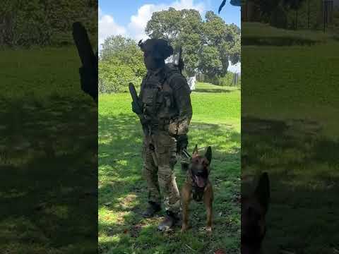 Video: Buvęs karinio jūrų laivyno SEAL ir jo nuostabus karo šuo padovanojo savo gyvenimą vieni kitiems