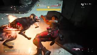 Gulag hellhound execution
