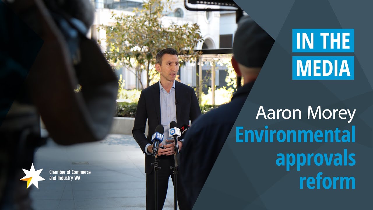 In the Media | Chief Economist Aaron Morey fronts media on environmental approvals reform