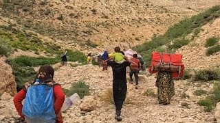 Nomads Migrate to Colder Climates due to Hot Weather: Nomad life in IRAN (Part 2)