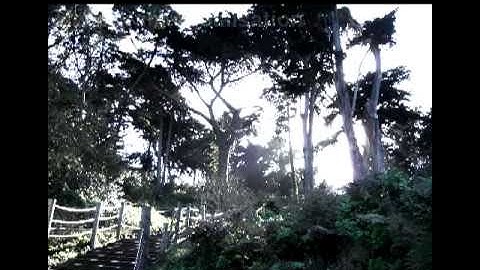 HornetsEye demonstration video