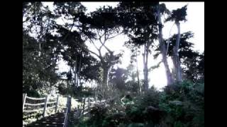 HornetsEye demonstration video Information