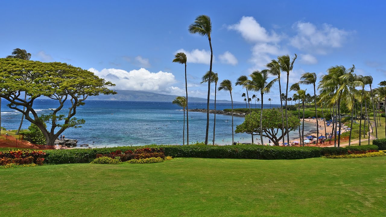 Coconut Grove 14 Maui, Hawaii YouTube