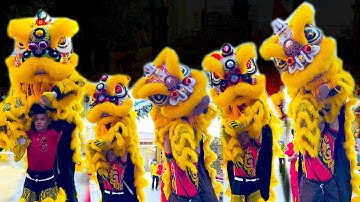 Múa Lân Hay Nhất lễ Khai Quang Điểm Nhãn Lân Sư Rồng 2025 đoàn LSR Long Vân