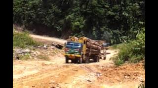 Sabah logging truck