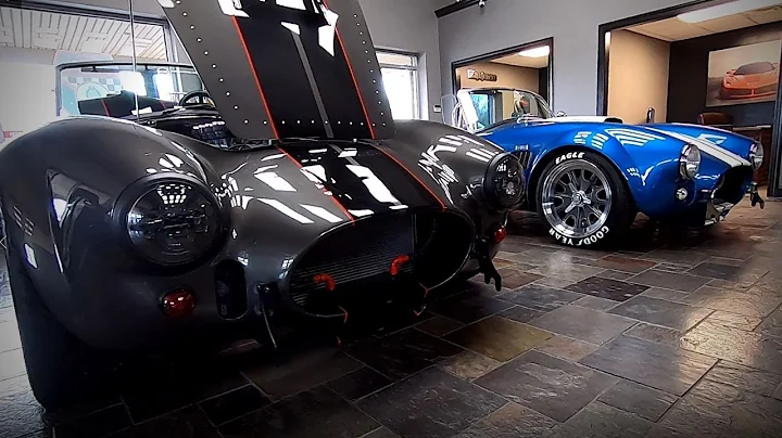 The Most Shelby Cobras I Have Ever Seen In One Pla...