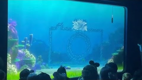 Moonfish from Finding Nemo in Turtle Talk With Crush Show! Guidelines from fish before show!