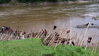 The Green Inferno - Behind the Scenes.
