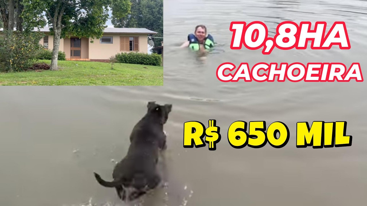 [122348] CHÁCARA EM TAQUARA RS 10,8 HA ESCRIT 2 CASAS POMAR CAMPO RIACHO E CACHOEIRA R$ 650 MIL 1 1