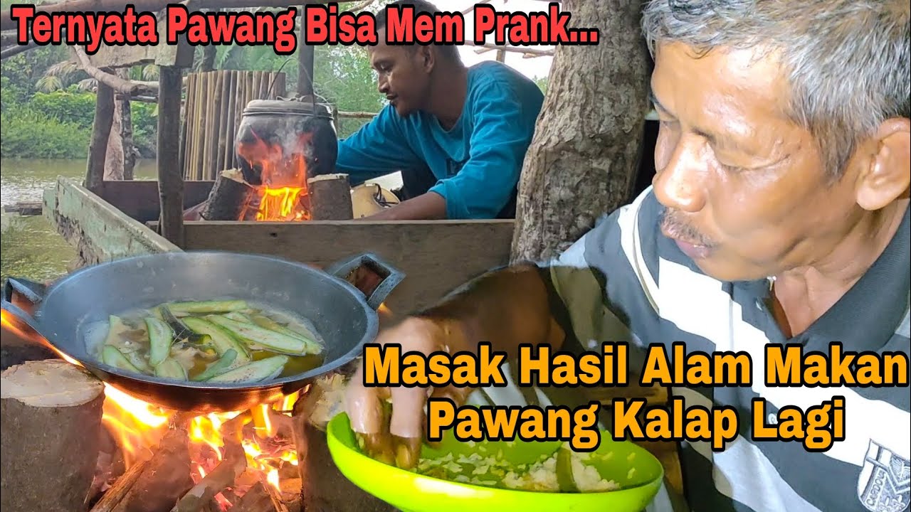 Ada yang berubah dari Pawang!!! Kalap lagi, tiga kali nambuh