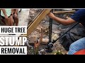 DIY | Pulling Out Tree Stump With Farm Jack