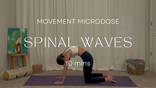 SPINAL WAVES | 10 Min Mindful Practice to Awaken the Spine w/ Farah Winning