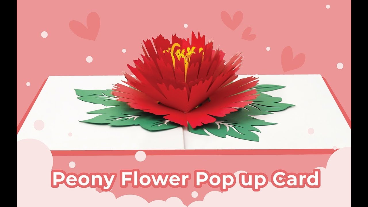 Paper Love Peony Pop Up Greeting Card