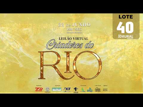 LOTE 40