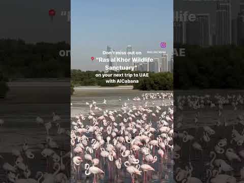 Ras al Khor Wildlife Sanctuary