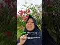 IN = di dalam 🏠 | ON = di atas meja 📚. Mudah kan? Coba bikin kalimatmu di komen 👇