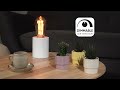 Ampoule LED edison à filament déco - XXCELL - Ambrée - Fontaine - E27 - 3,5 W-1