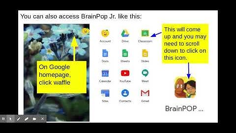 BrainPop Jr. Directions Video