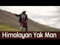 Himalayan Yak Man: His Daily Life; Finding Most Expensive Mushroom in the World (Full Documentary)