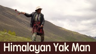 Himalayan Yak Man: His Daily Life; Finding Most Expensive Mushroom in the World (Full Documentary)