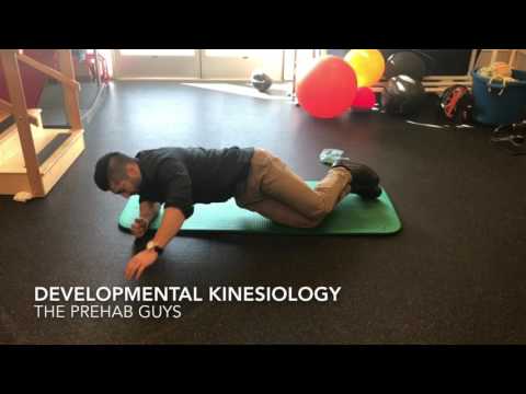 Shoulder stability- DNS