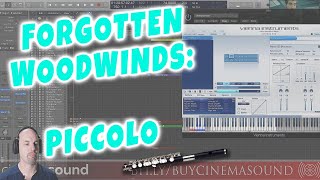 Film Scoring How To: Using Piccolo - Forgotten Woodwinds
This video shows you a trick which 87% of film composers NEVER USE - and have forgotten how to use - but the great film composers ALWAYS use it.
In this video, award winning composer and presenter for Cinema Sound shows us another video in the Film Scoring How To: series, Using Piccolo. Since woodwinds are becoming more and more forgotten - as well as the emotions they can bring about in audiences, Mark is bringing a little education on why theyre good, and how to best use them in your film or media project.
Learn everything you need to know about how to make Hollywood-level audio for your production at http://www.cinemasound.com where we cover all subjects on Recording, Editing, Fixing dialog, Sound Effects, Music, and Mixing as well as hundred of blogs and videos for you to peruse for free - AND this channel!
Subscribe today and get an unfair competitive advantage in the media marketplace! Film Scoring How To: Using Piccolo - Forgotten Woodwinds
