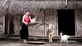 Daughter’s Creative Transformation: Sheep Pen Transformed into a Luxurious Villa#renovate #building