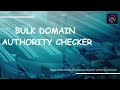 Bulk domain authority checker