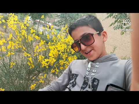 محمدمهدی بیگوند