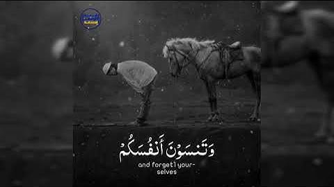 ۞ أَتَأْمُرُونَ النَّاسَ بِالْبِرِّ وَتَنسَوْنَ أَنفُسَكُمْ ۞ القارئ | عبدالرحمن مسعد 💙🎧