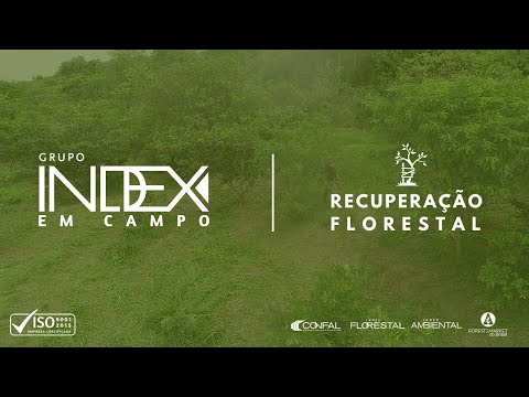 Grupo Index em Campo - Recuperação Florestal
