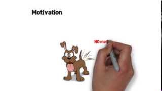 Motivation... what works for your dog?