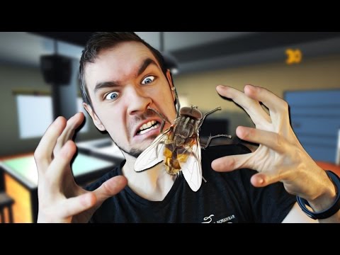 I DID IT!! | Fly In The House #2