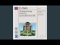 Miniature de la vidéo de la chanson Concerto For Violin, Oboe, Strings And Continuo In C Minor, Bwv 1060: I. Allegro